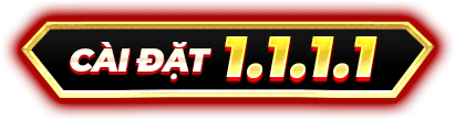 Cài đặt 1.1.1.1